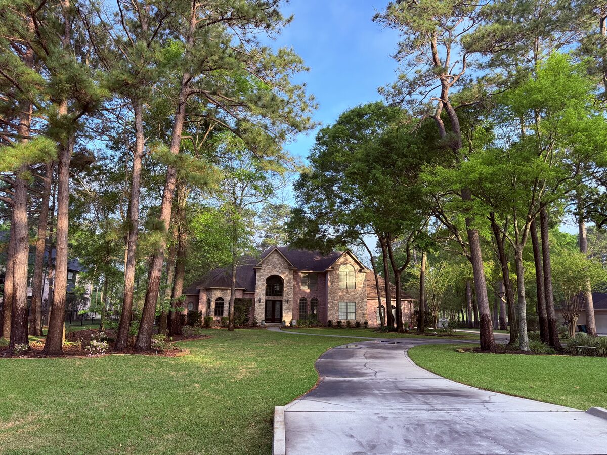 Wooded estate after tree trimming — clean canopy, open driveway