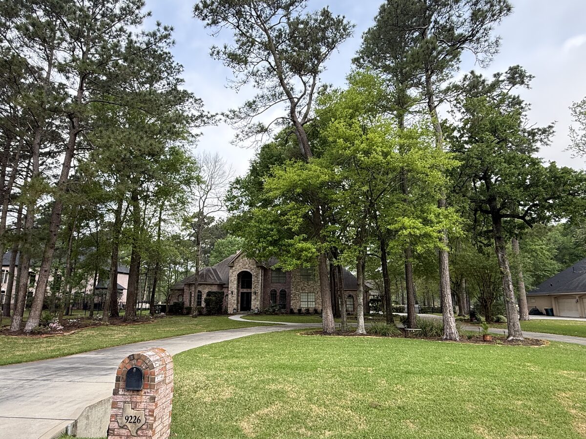 Wooded estate before tree trimming — overgrown canopy