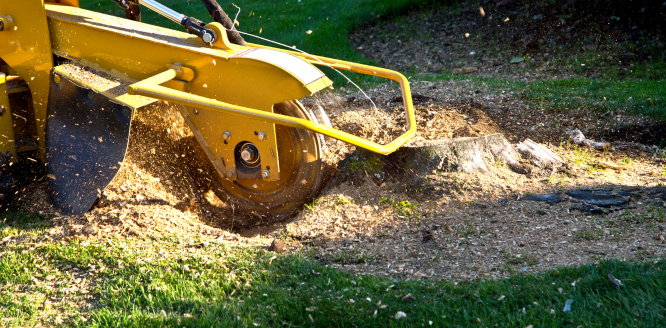Stump Grinding