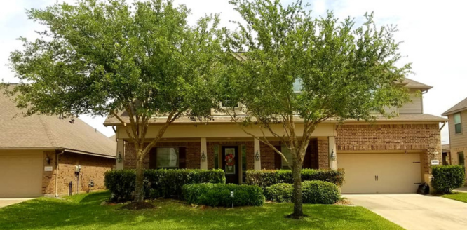 Tree trimming service