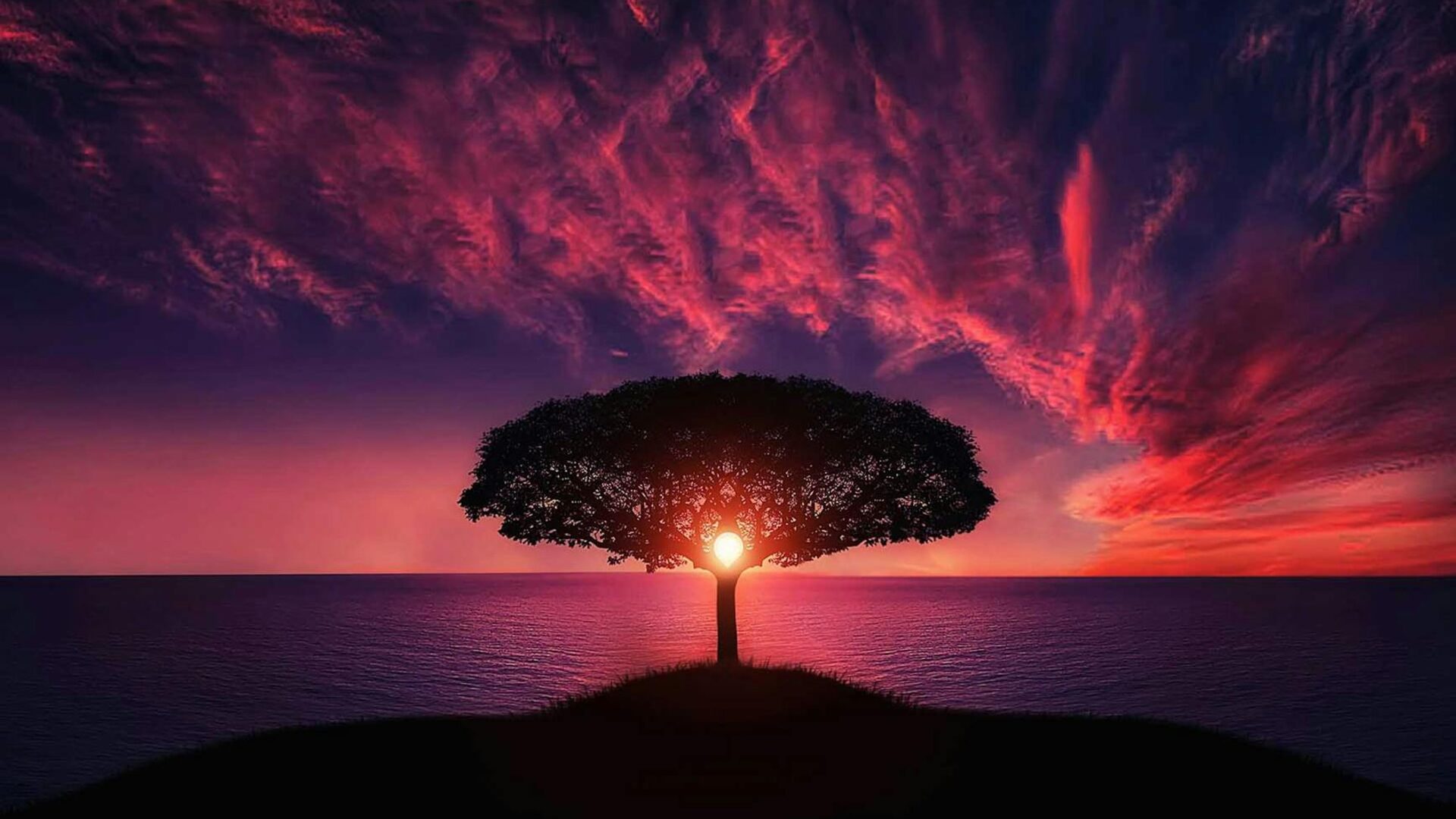 A lone tree standing on open ground under a stormy evening sky, the tallest thing around